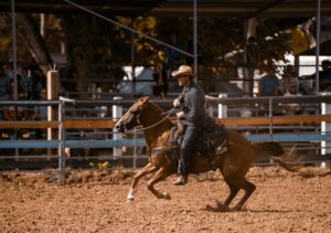 Free American Quarter Horse Horse photo and picture