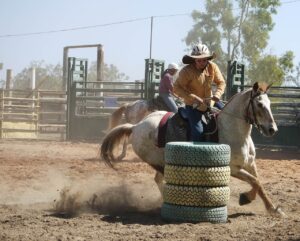Free Barrel Racing Cowboy photo and picture