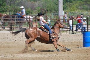 Free Barrel Racing Rodeo photo and picture