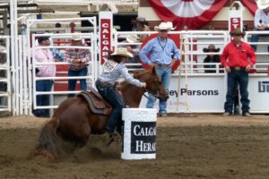 Free Barrel Racing Horse photo and picture