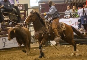 Free Cowboy Rodeo photo and picture