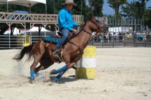Free Equiblues Rodeo photo and picture