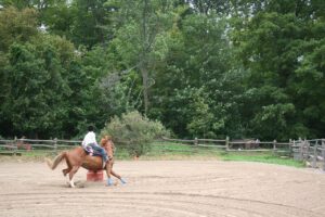 Free Horse Barrel Racing photo and picture