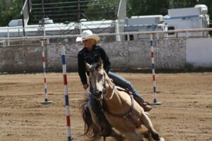Free Horse Rodeo photo and picture