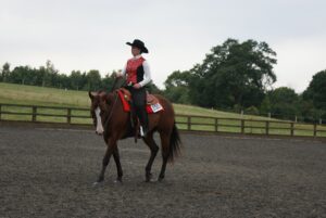 Free Horse Show photo and picture