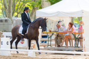 Free Horse Competition photo and picture