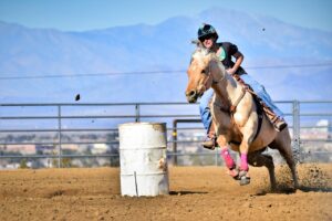 Free Horse Barrel Race photo and picture