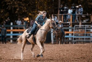 Free Horse Rider photo and picture