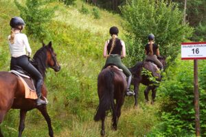Free Horse Riding Lessons Horse Riding photo and picture